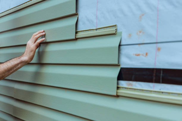 Best Siding Removal and Disposal  in Leadville North, CO